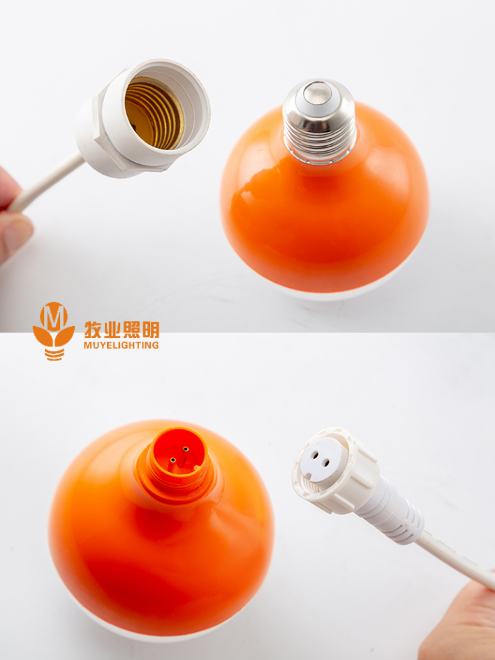 微信图片_20260726113609_1100_24.png 微信图片_20260726113609_1100_24.png