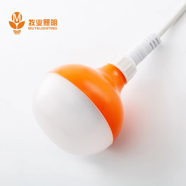 微信图片_20260726113547_1098_24.png 微信图片_20260726113547_1098_24.png